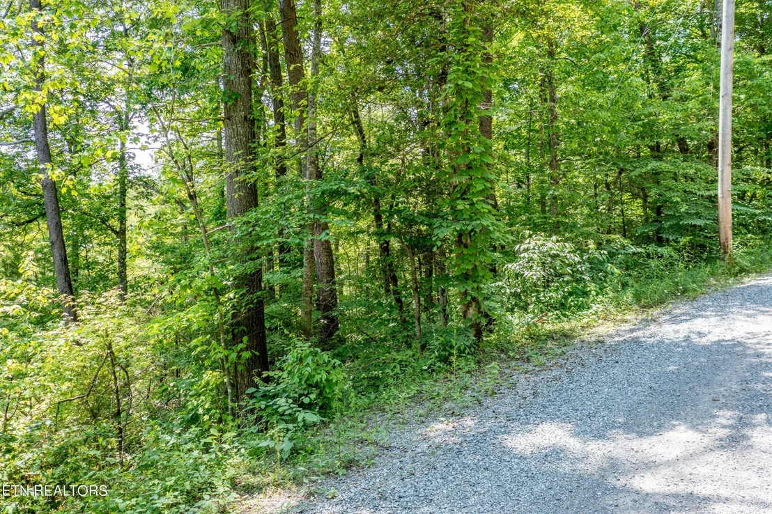 Photo of 0 Chilhowee Loop