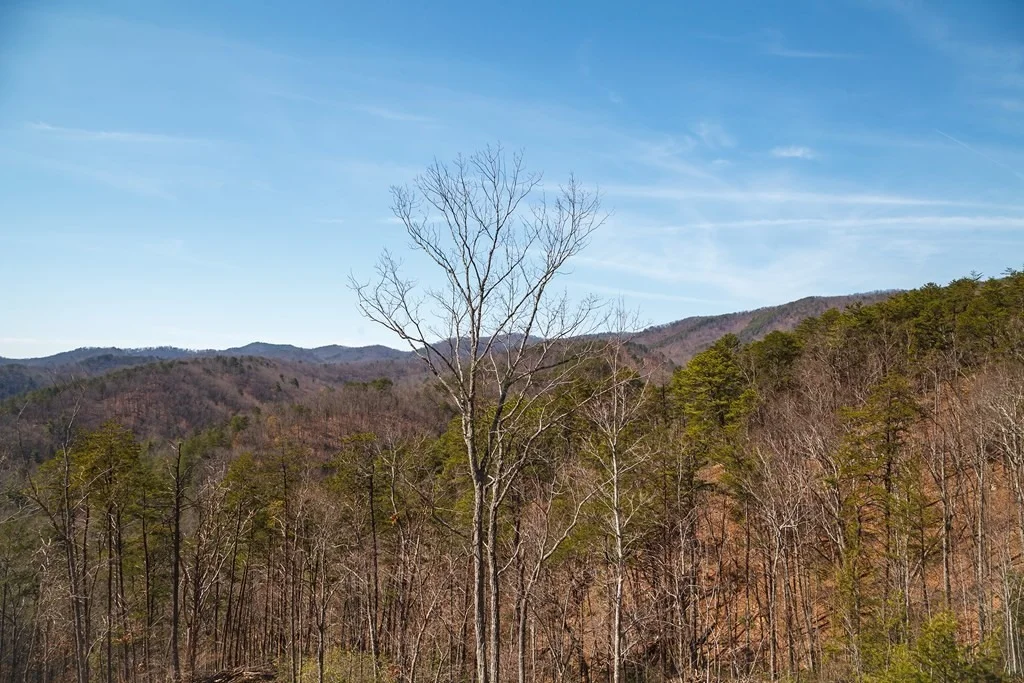 Photo of 3134 Smoky Bluff Trail