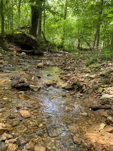 Photo of 290 Moore Hollow Rd