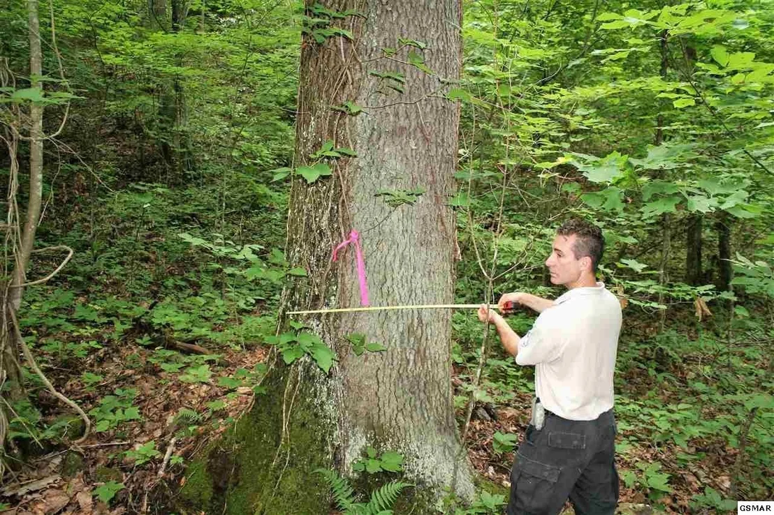 Photo of 0 Off Collier Loop