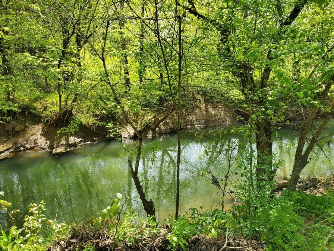 Photo of 1433 Chickadee Circle