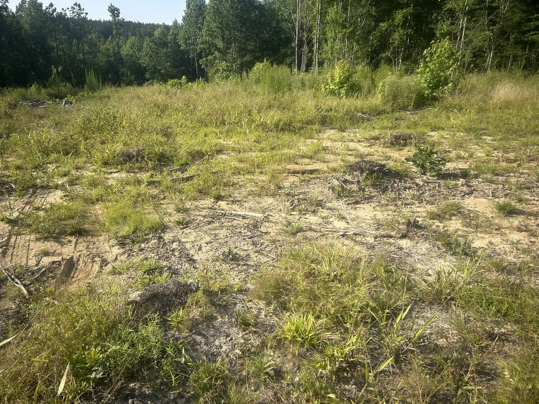 Photo of 2853 Old Natchez Trace Trail