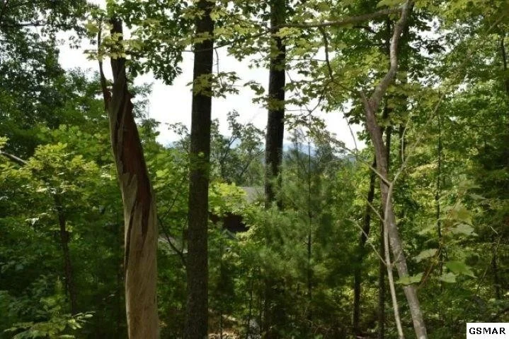 Photo of 3036 Redtail Road