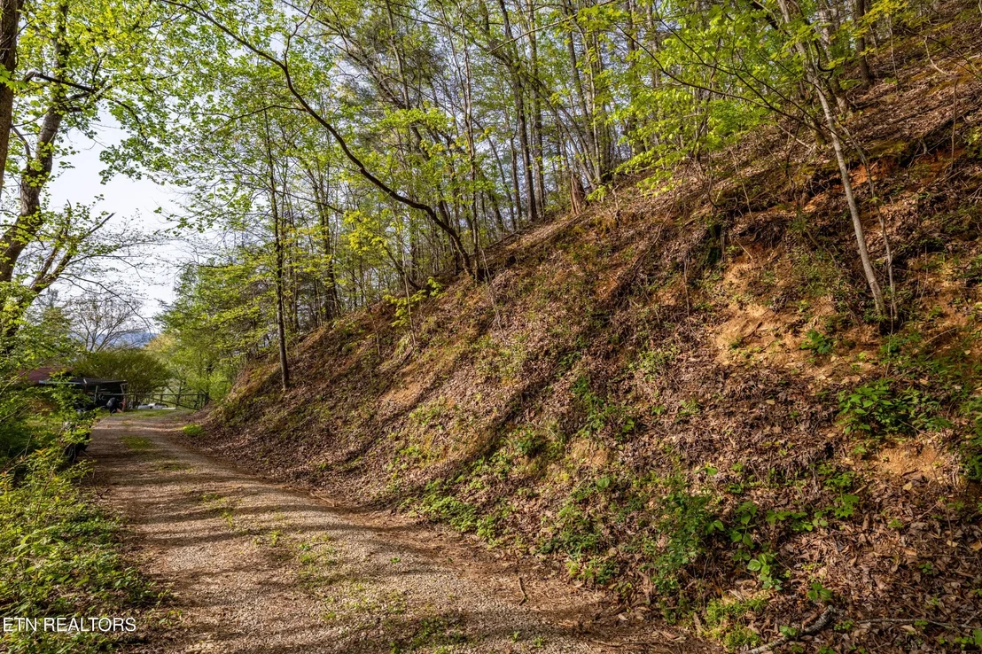 Photo of 240 Mt. Luke Rd