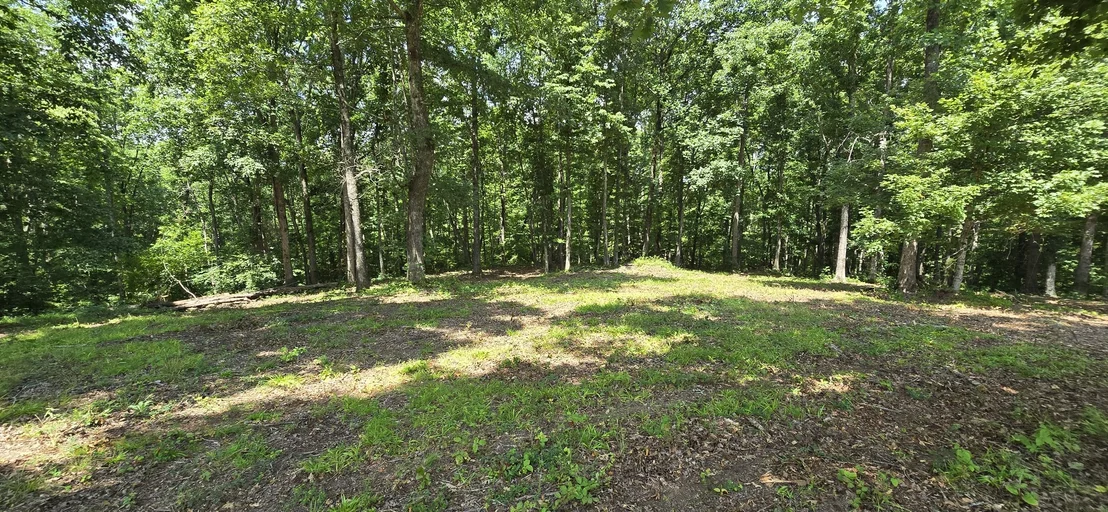 Photo of 2770 Mayne Trace Rd