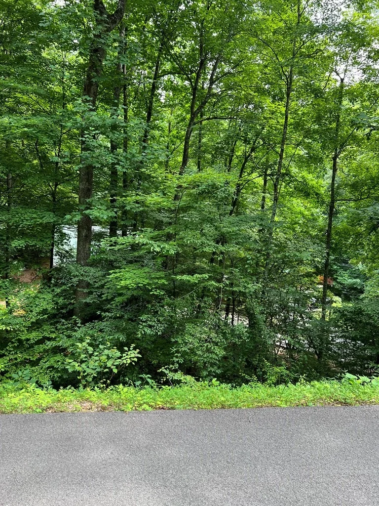 Photo of 406 Ski View Lane