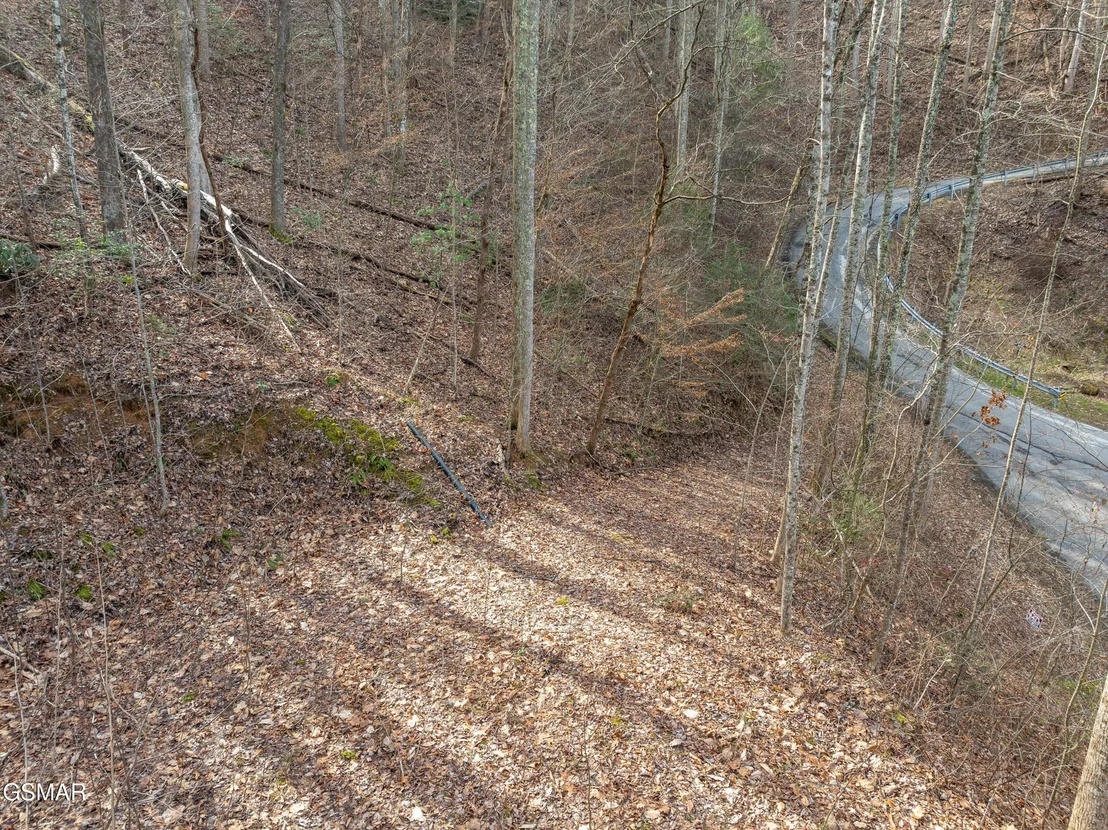 Photo of 1006 Ridgefield Drive