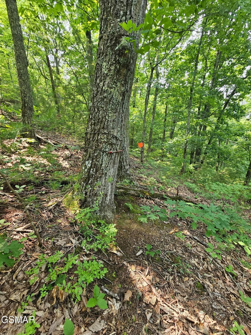 Photo of 124 Sharp Road