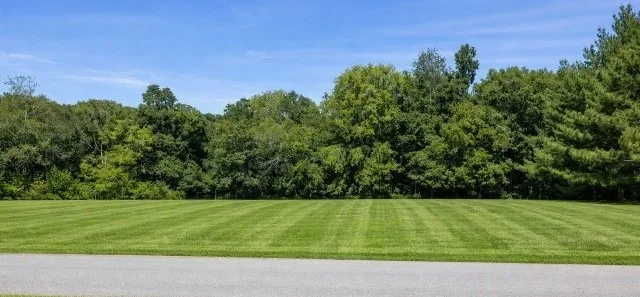Photo of 3956 Martins Chapel Rd