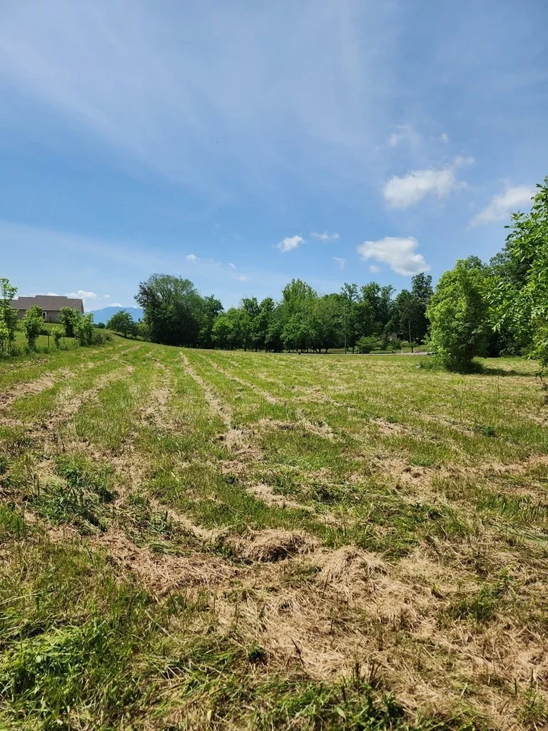 Photo of 16 Red Bud Lane