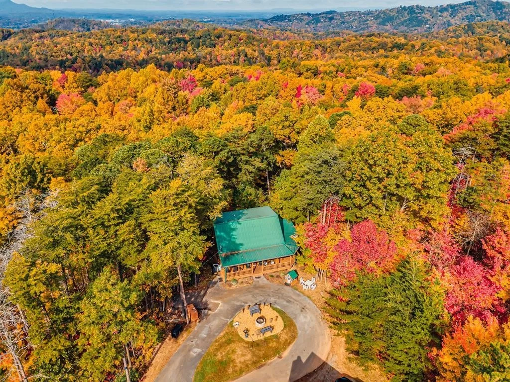 Photo of 1171 Ski View Lane