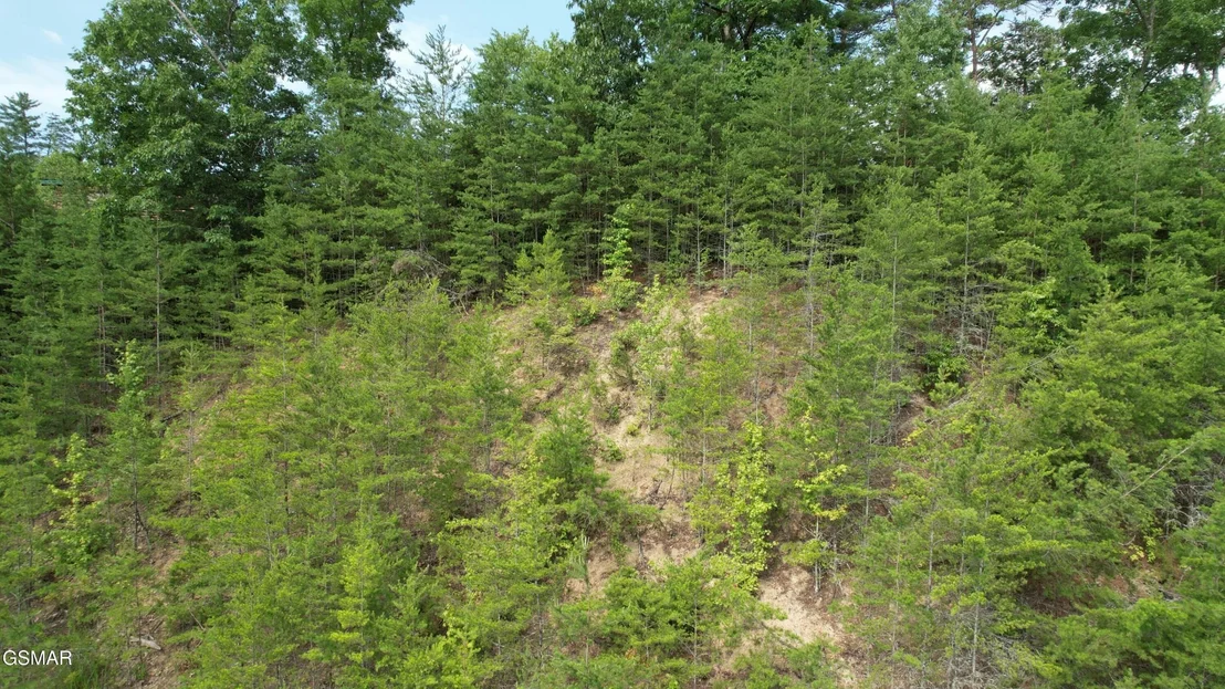 Photo of 3150 Cherokee Valley Drive