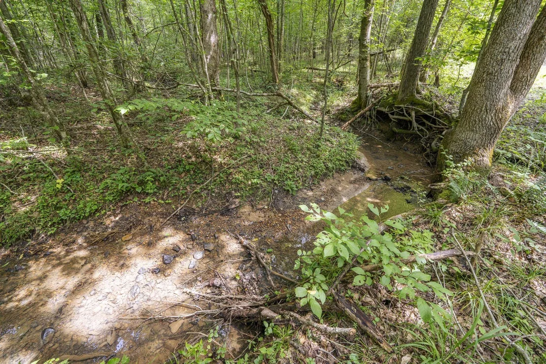 Photo of 311 DEW DROP RD