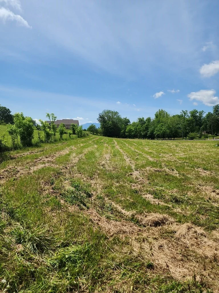 Photo of 16 Red Bud Lane