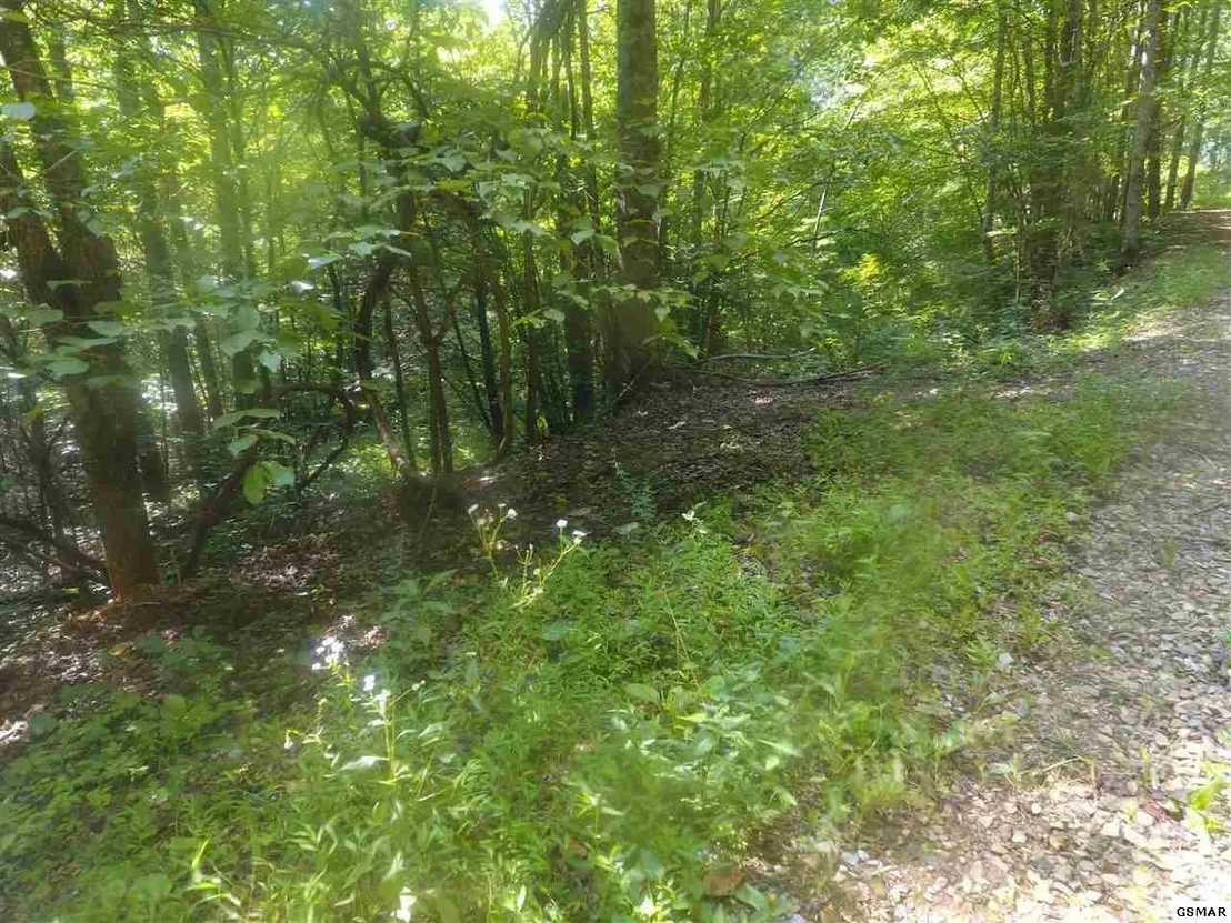 Photo of 3695 Shady Springs Way