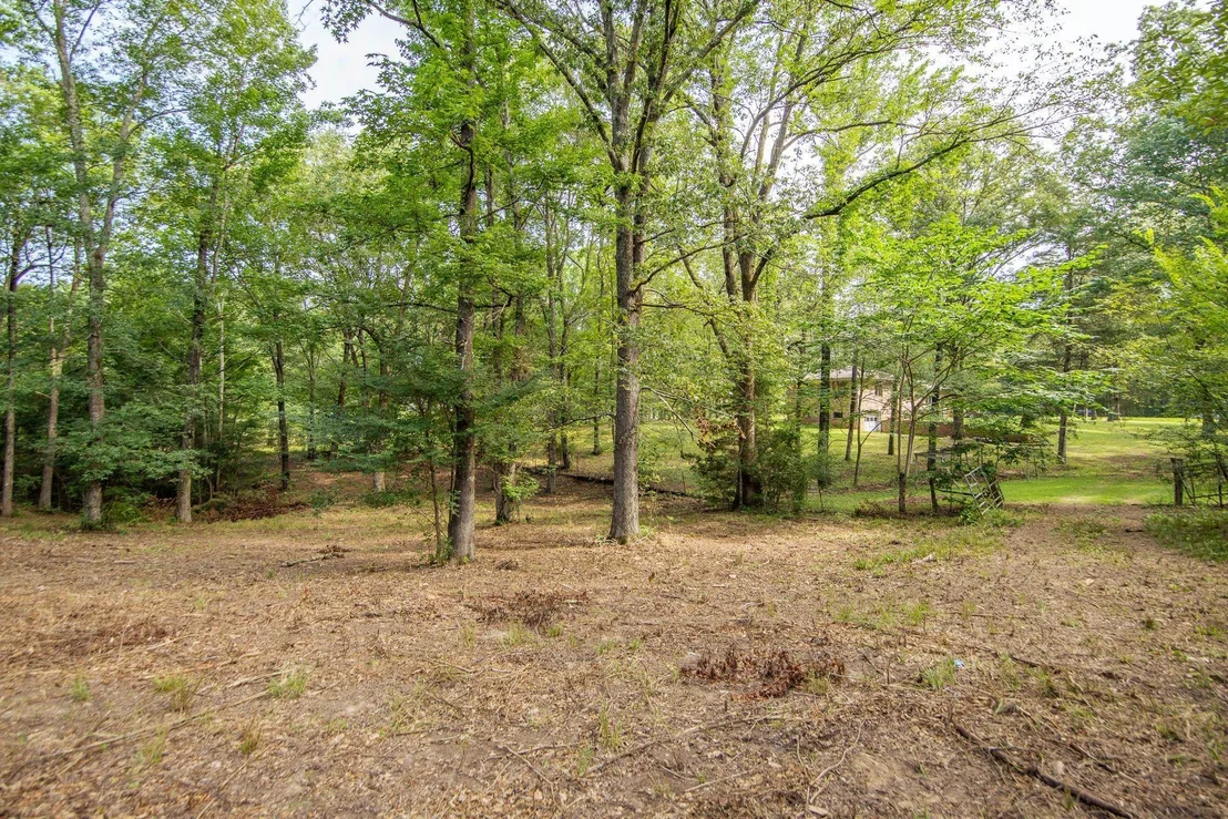 Photo of 1910 HAMBURG LOOP