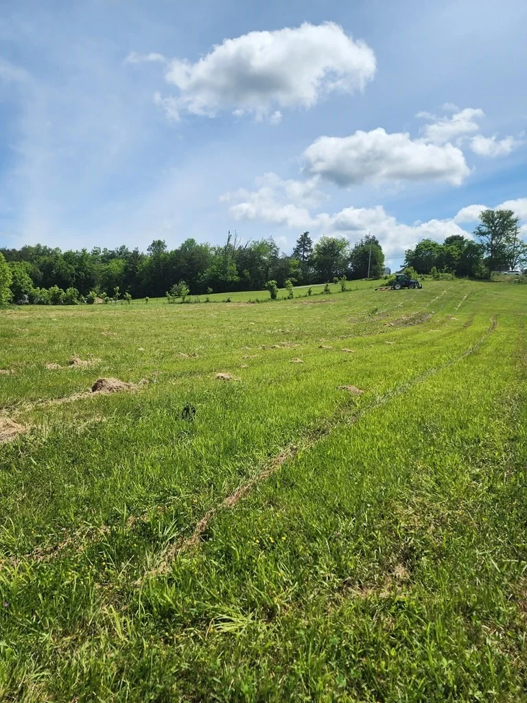 Photo of 16 Red Bud Lane