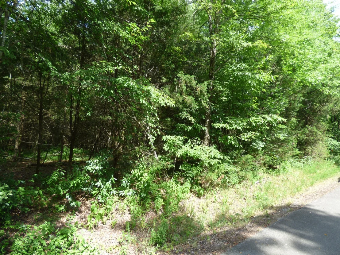 Photo of 1024 Mountain View Lane