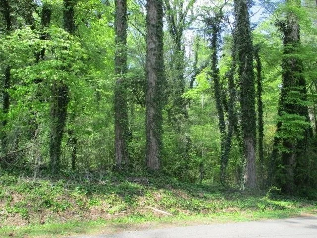 Photo of 0 Honeycomb Rd
