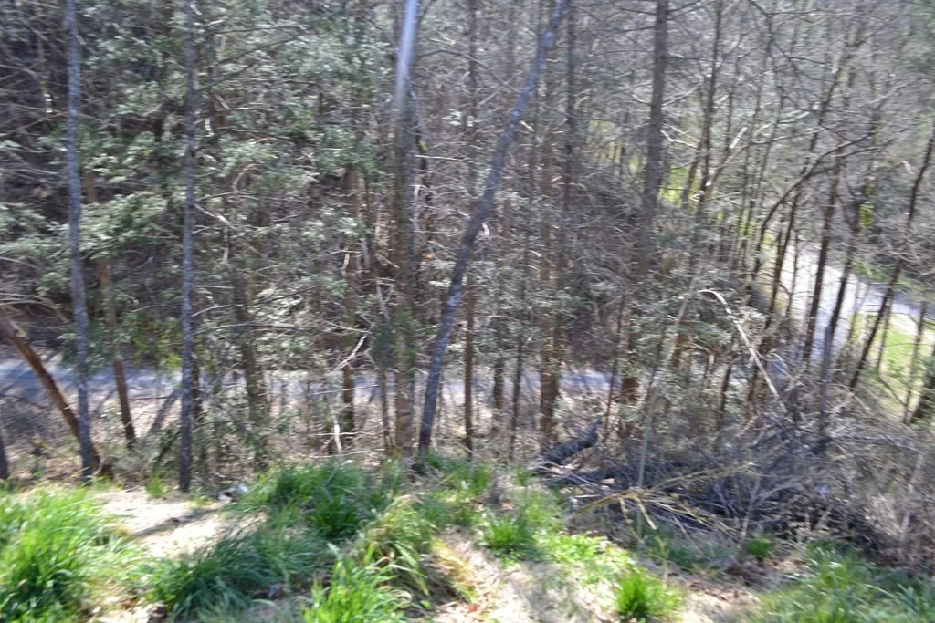 Photo of 1713 Blalock Way