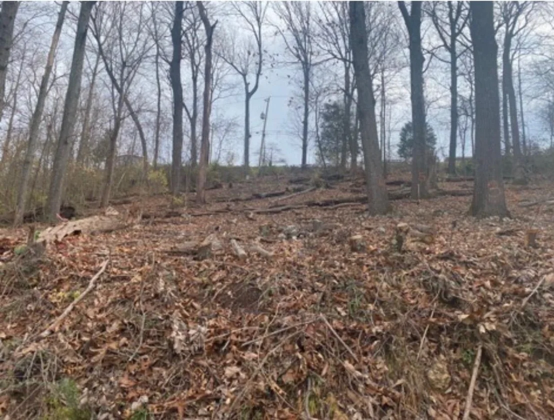 Photo of 38 Clift Trail