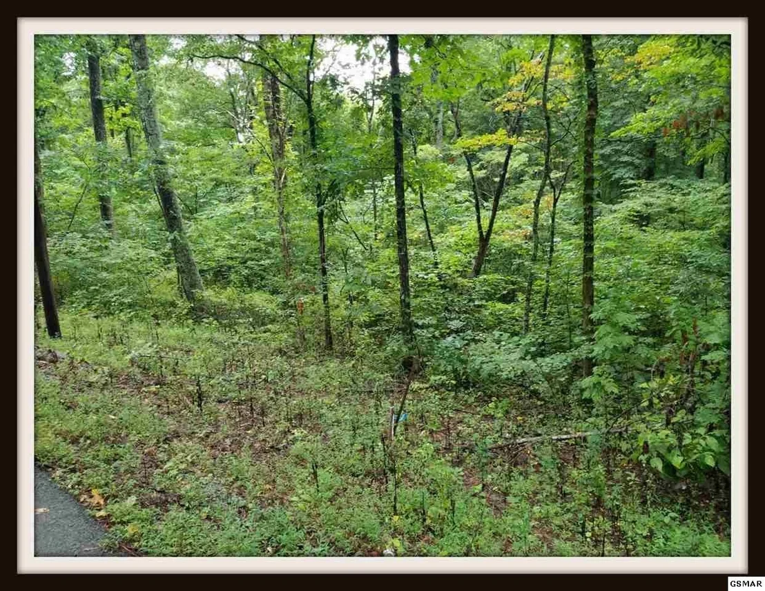 Photo of 9 Blowing Cave Road