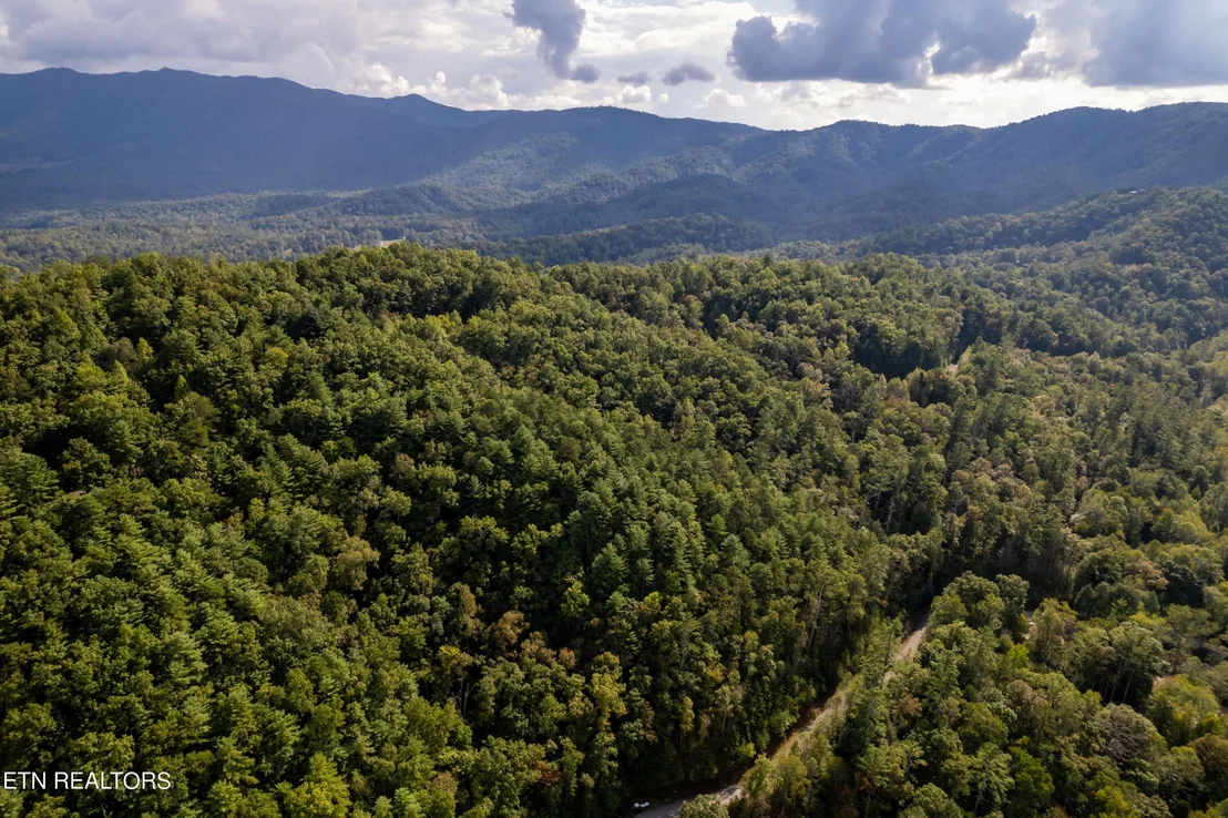 Photo of 803 Tanasi Trail