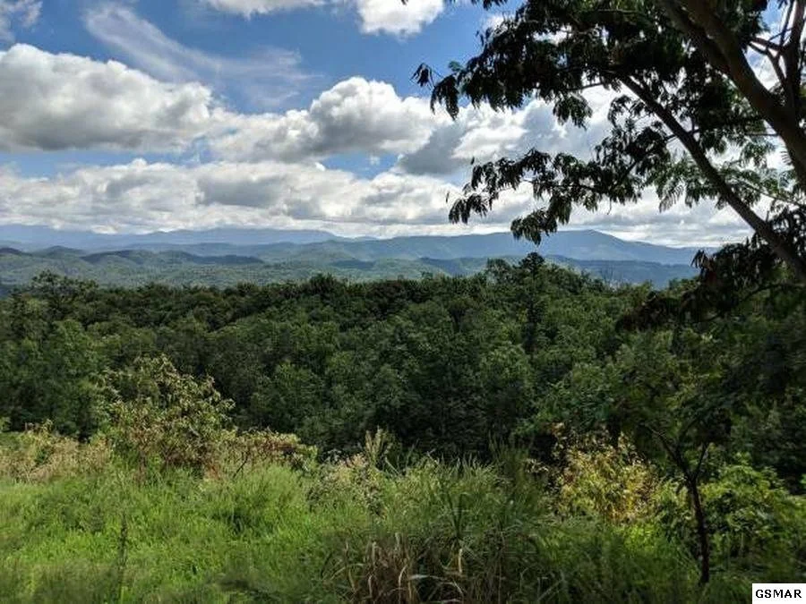 Photo of 3240 Laurel Cove Trail