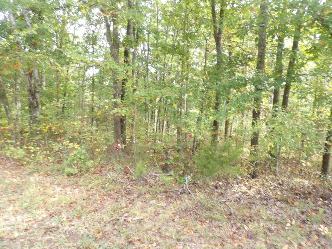 Photo of 112 Oak Ridge Dr