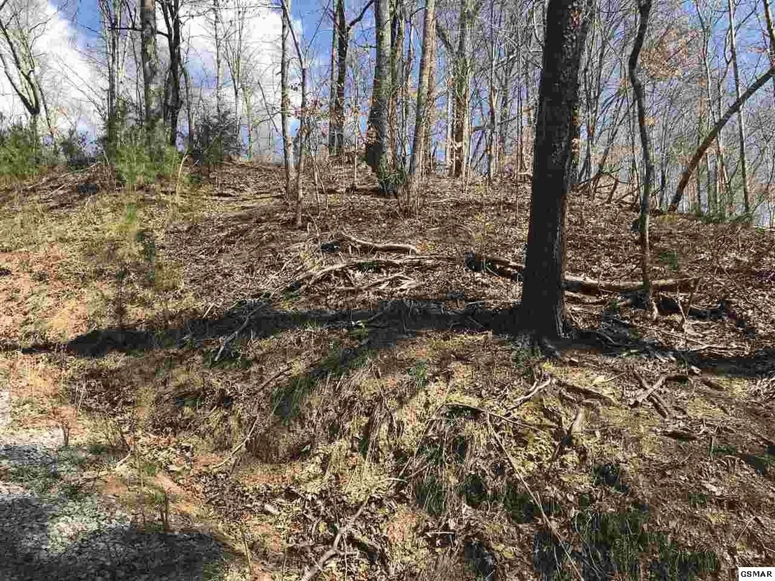 Photo of 1718 Highway 25E
