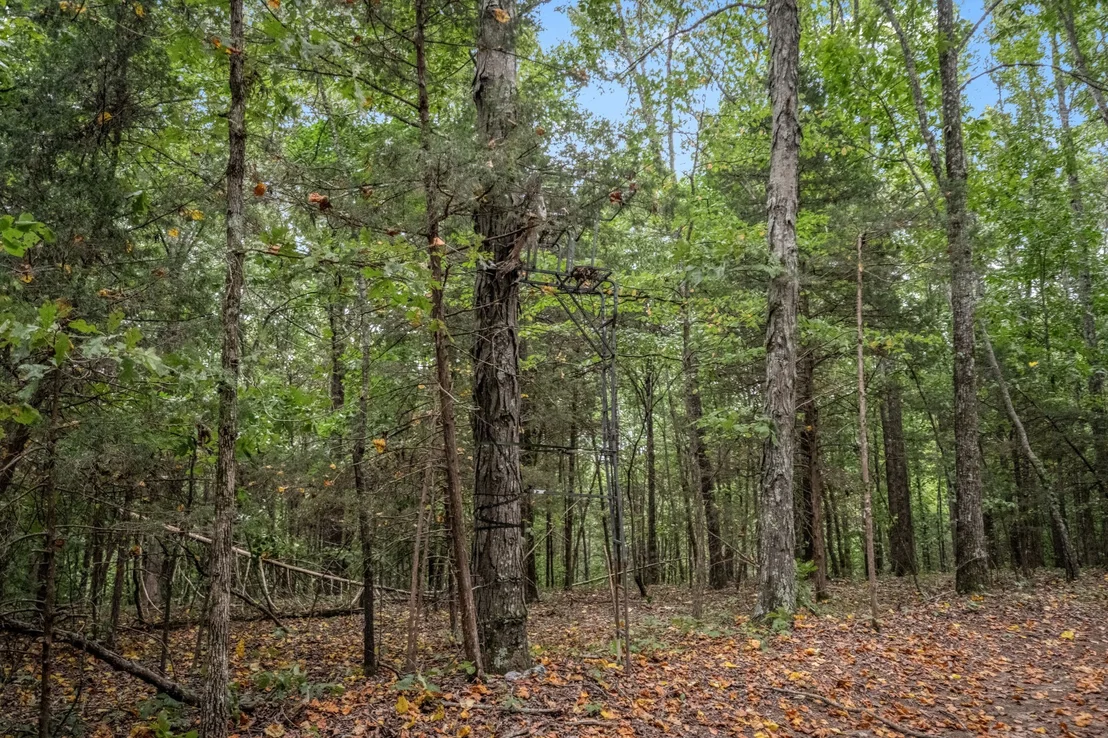Photo of 615 Carr Creek Rd