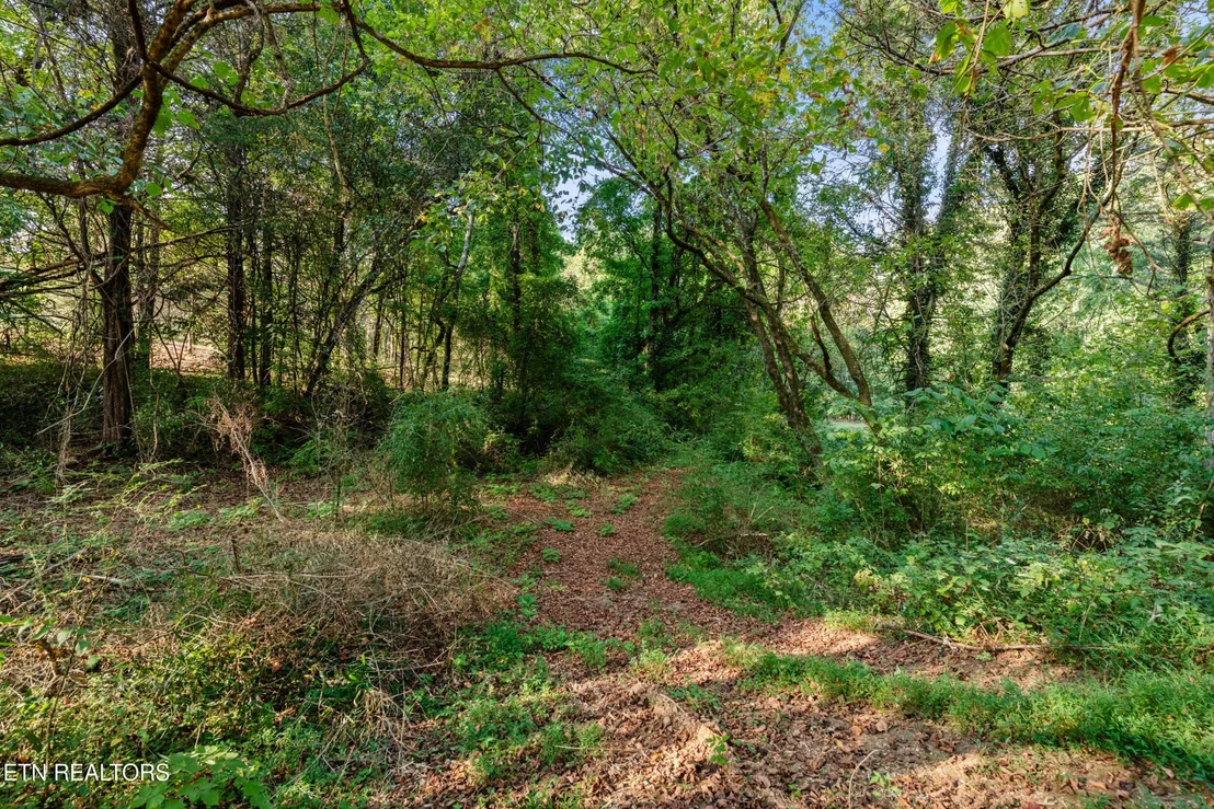 Photo of 4331 Cabbage Drive
