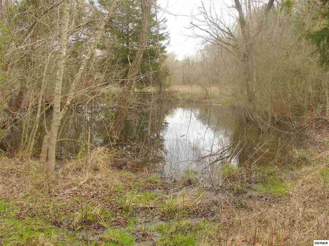 Photo of 1193 Flat Creek Road