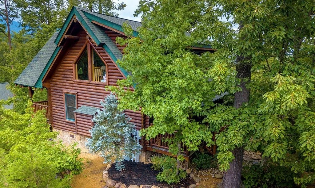 Photo of 2015 BEAR CREEK Way