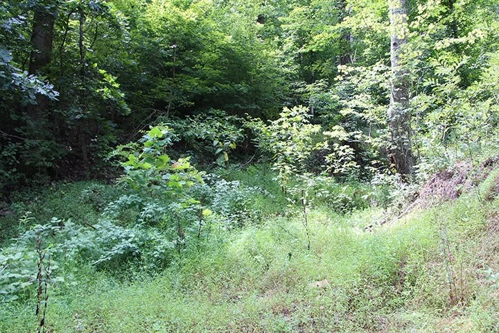 Photo of 479 Poor Valley Rd