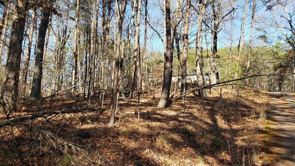 Photo of 2905 Caughron Mountain Road