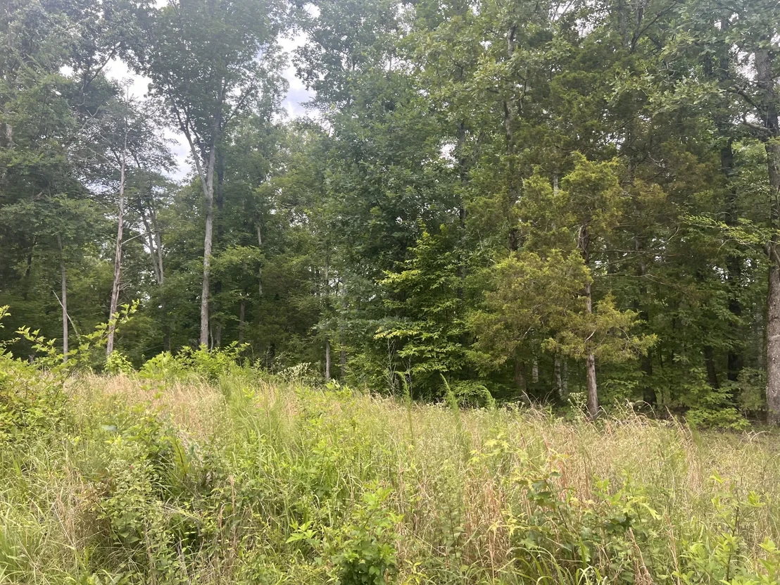 Photo of 4 Lake View Drive