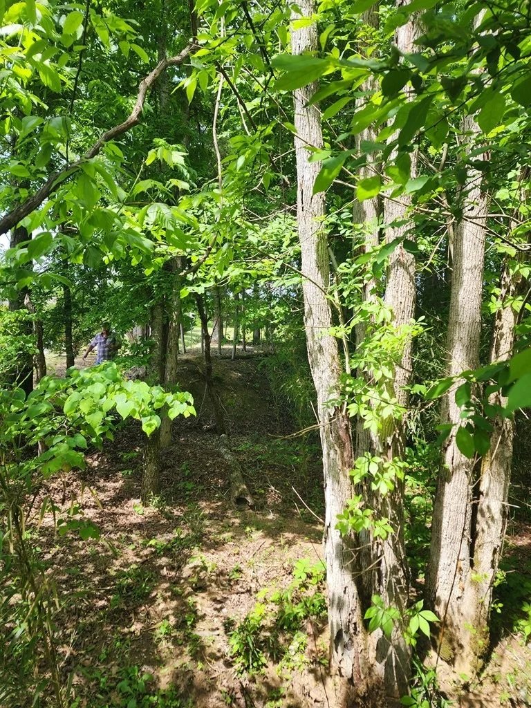 Photo of 16 Red Bud Lane