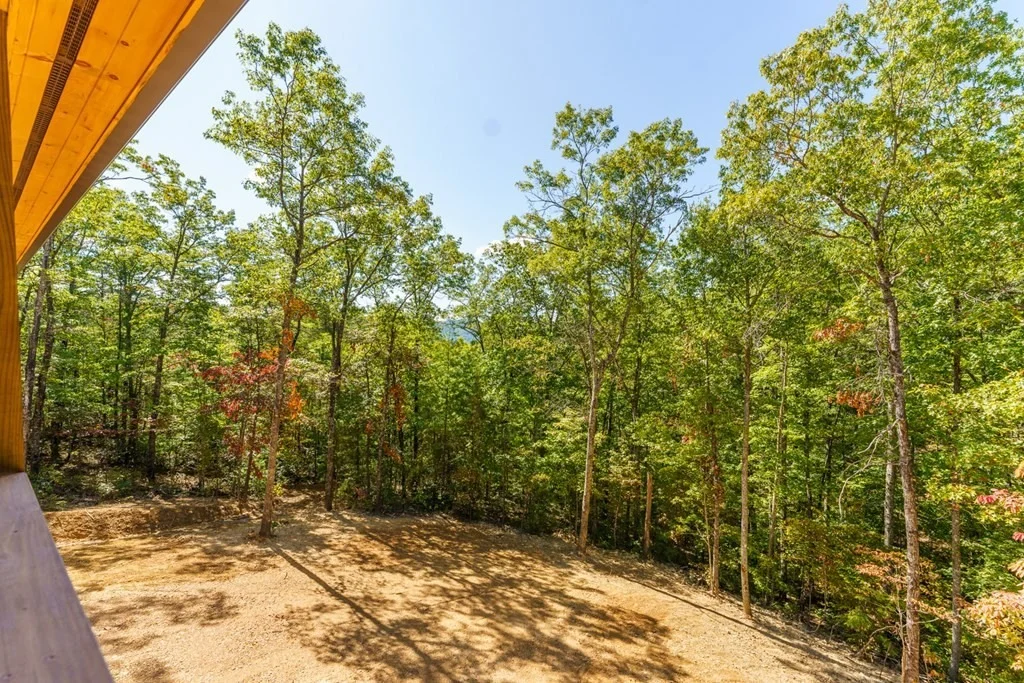 Photo of 4393 Chamberlain Lane