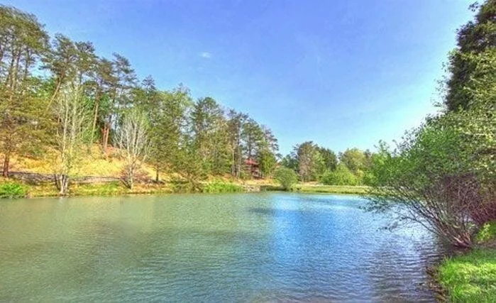 Photo of 2830 Laughing Pine Lane