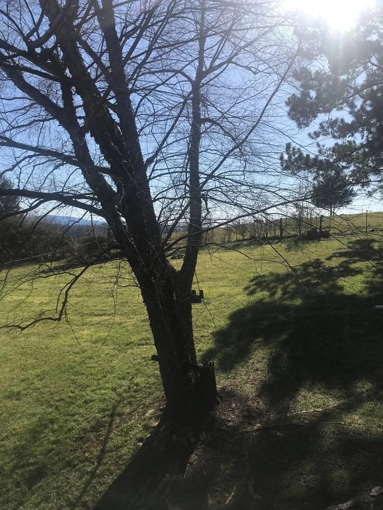 Photo of 3877 SETTLERS Trail