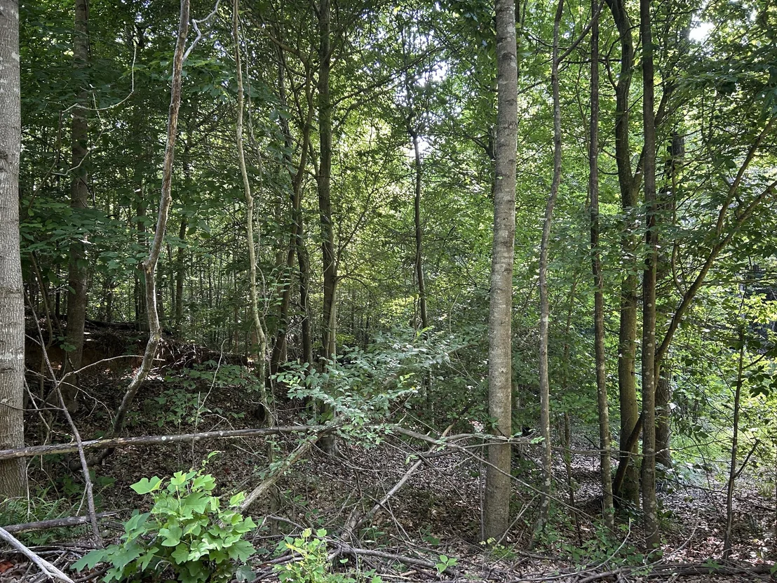 Photo of 2853 Old Natchez Trace Trail