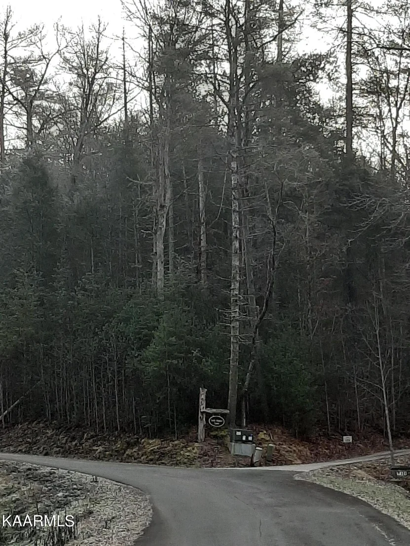 Photo of 509 Lady Slipper Lane