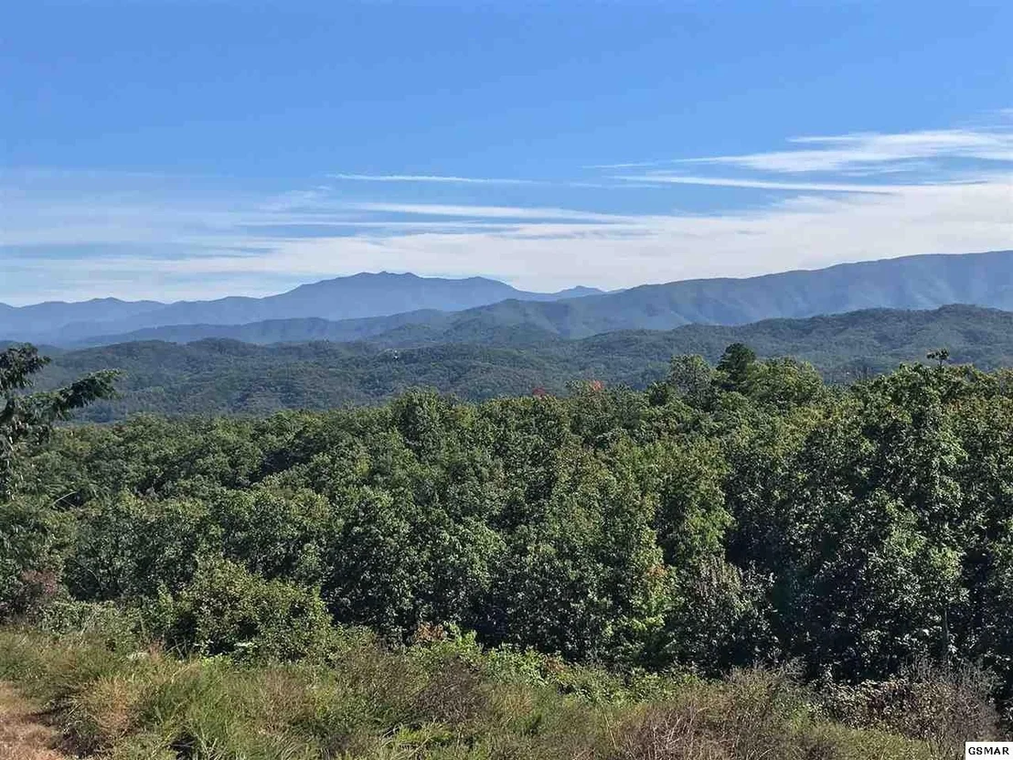 Photo of 3240 Laurel Cove Trail