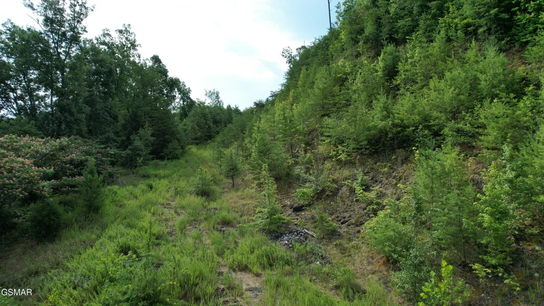 Photo of 3150 Cherokee Valley Drive