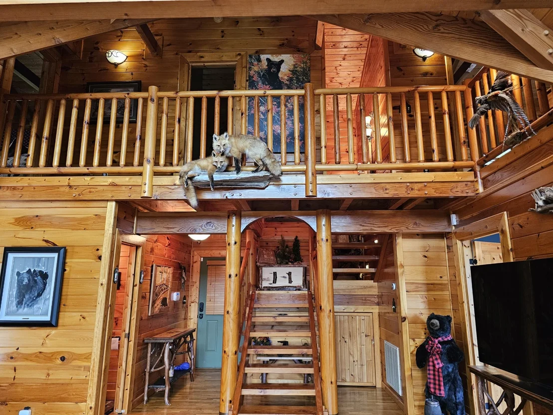 Photo of 2729 Hatcher Mountain Road