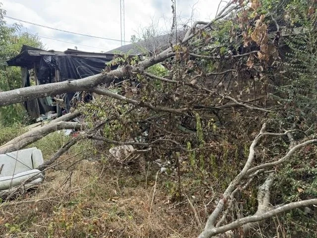 Photo of 305 WALNUT ST