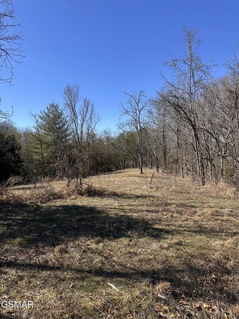 Photo of 24265 S Mohawk Rd