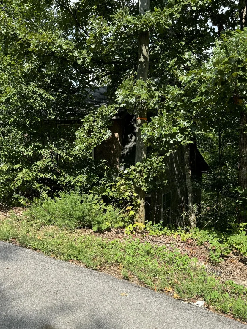 Photo of 2629 Dogwood Loop Drive