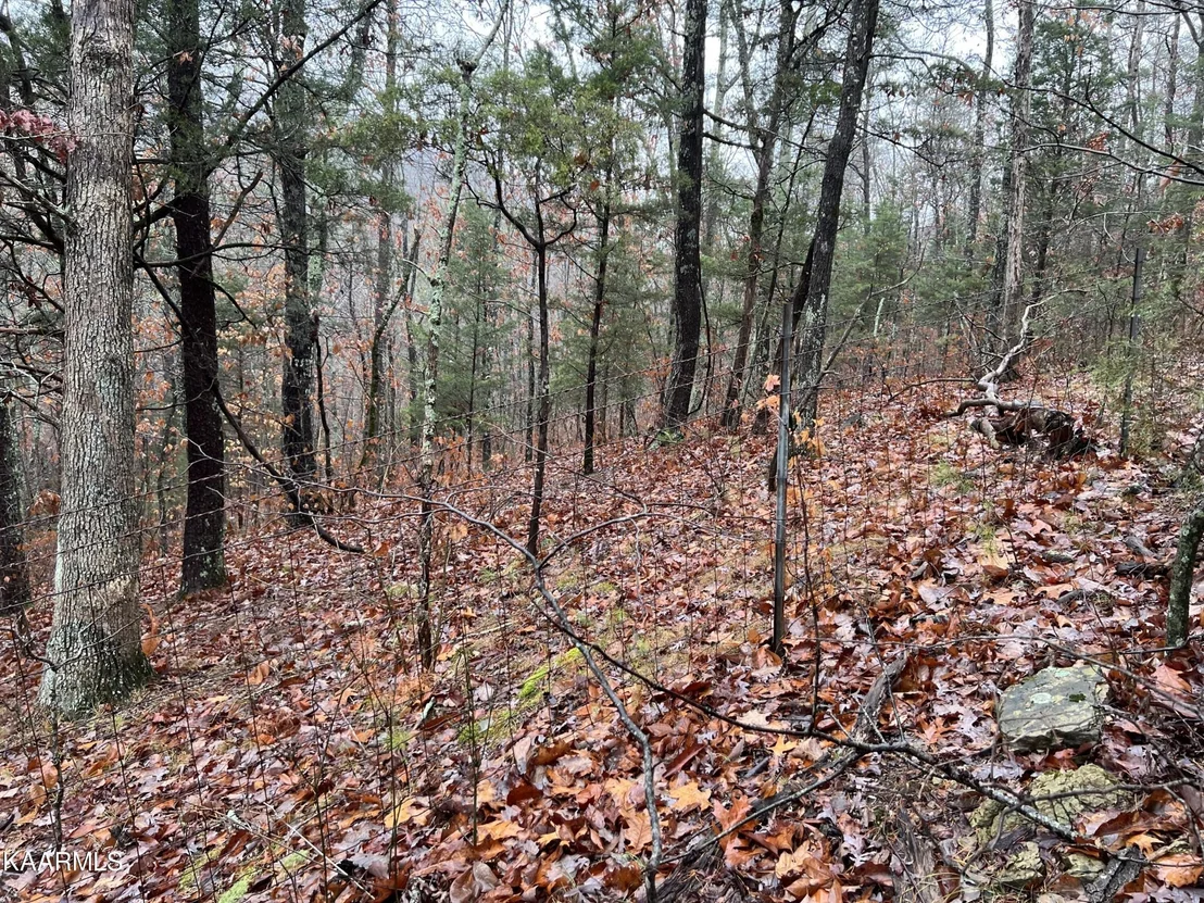 Photo of 1875 Dyer Hollow Rd